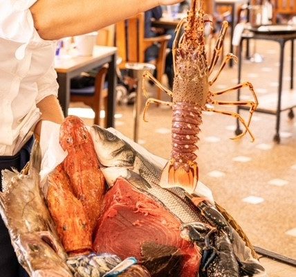 Restaurante Cala Conills - Andratx (Mallorca) | VISIT ANDRATX