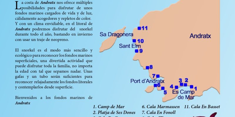 Guía snorkel - Andratx (Mallorca) | VISIT ANDRATX