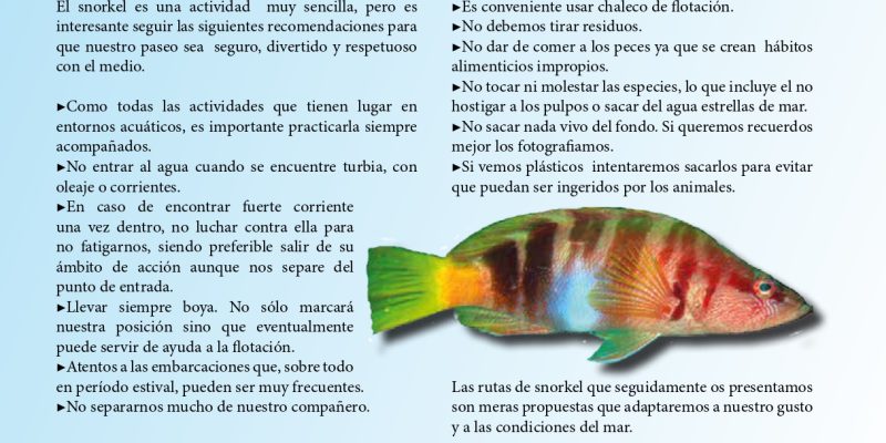 Guía snorkel - Andratx (Mallorca) | VISIT ANDRATX