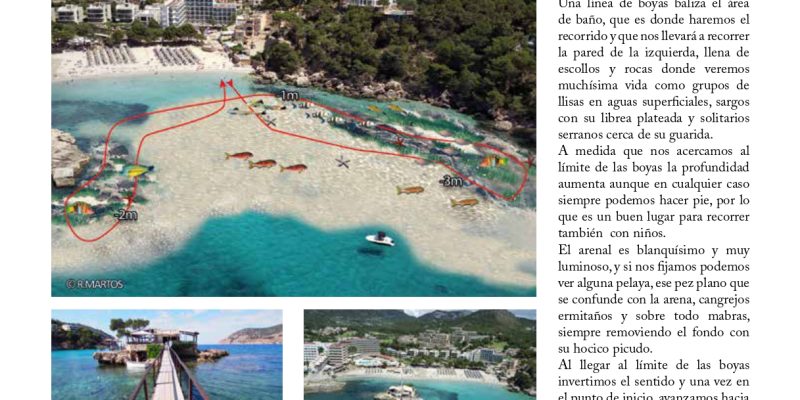 Guía snorkel - Andratx (Mallorca) | VISIT ANDRATX