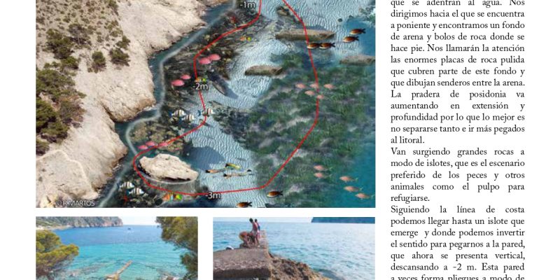 Guía snorkel - Andratx (Mallorca) | VISIT ANDRATX