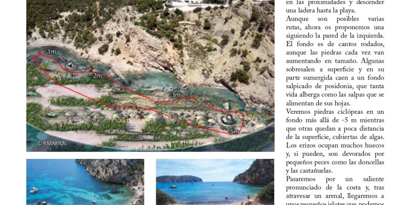 Guía snorkel - Andratx (Mallorca) | VISIT ANDRATX