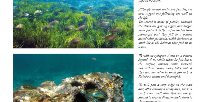 Guía snorkel - Andratx (Mallorca) | VISIT ANDRATX