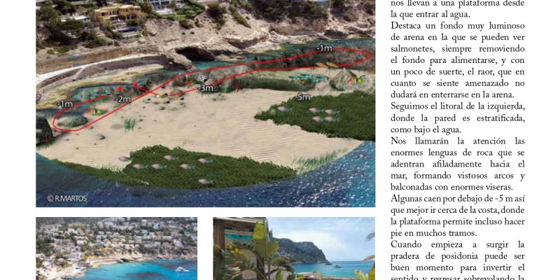 Guía snorkel - Andratx (Mallorca) | VISIT ANDRATX