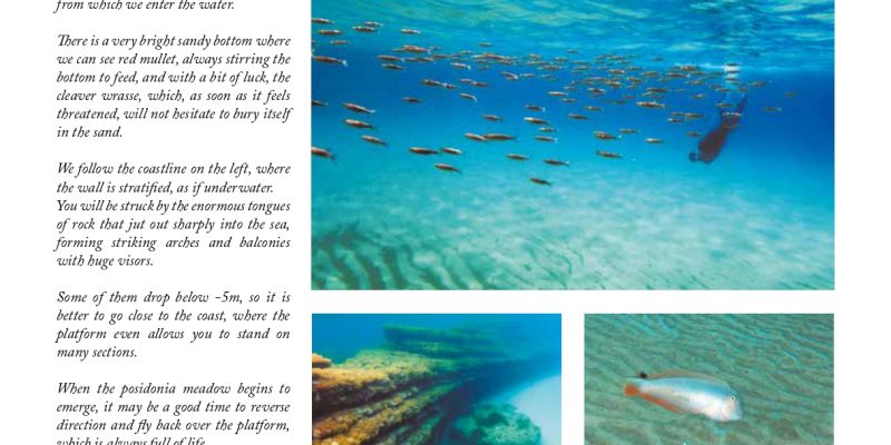 Guía snorkel - Andratx (Mallorca) | VISIT ANDRATX