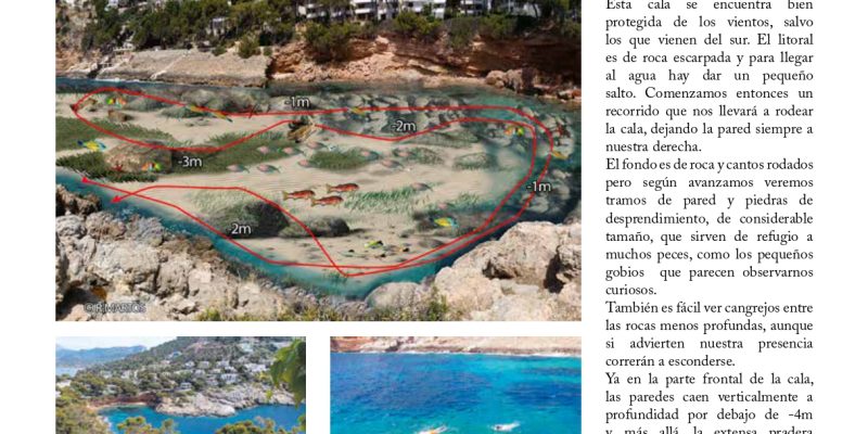 Guía snorkel - Andratx (Mallorca) | VISIT ANDRATX