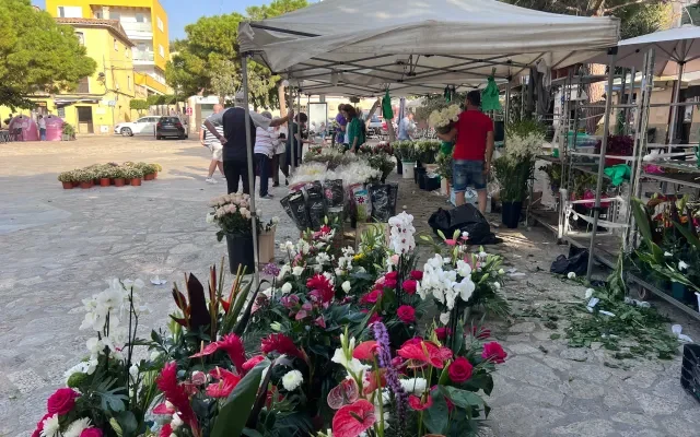 Mercado de las Flores - Andratx (Mallorca) | VISIT ANDRATX