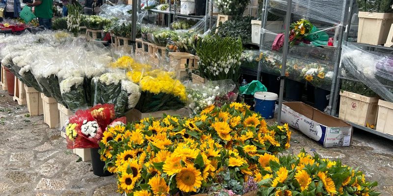 Mercado de las Flores - Andratx (Mallorca) | VISIT ANDRATX