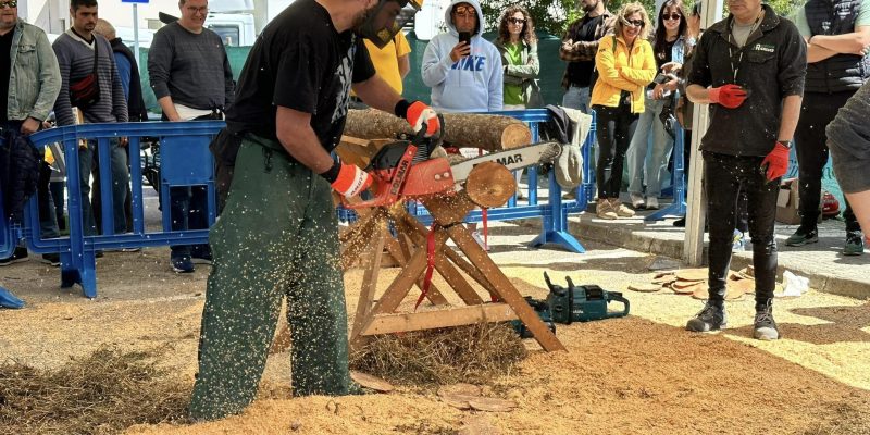 Fira Agrícola d'Andratx - Andratx (Mallorca) | VISIT ANDRATX