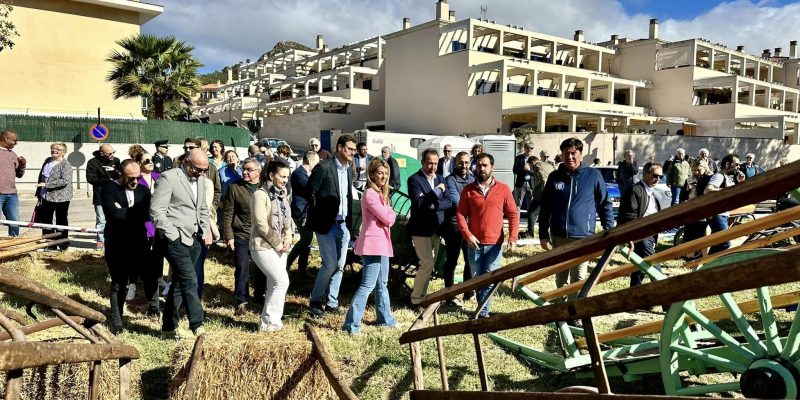 Fira Agrícola d'Andratx - Andratx (Mallorca) | VISIT ANDRATX