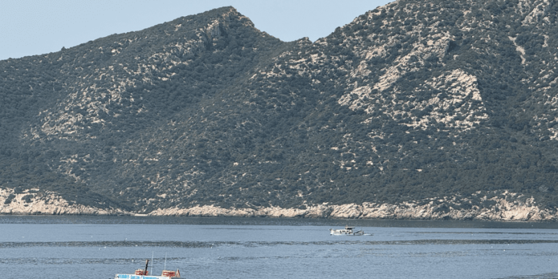 Cruceros Margarita by Sa Calma Boats - Andratx (Mallorca) | VISIT ANDRATX