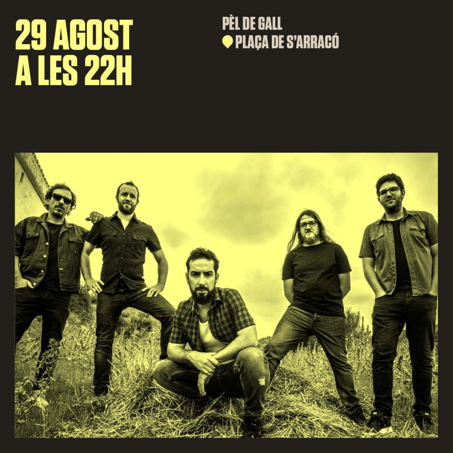 CONCERT PÈL DE GALL (NITS A LA FRESCA 2024) - Visit Andratx