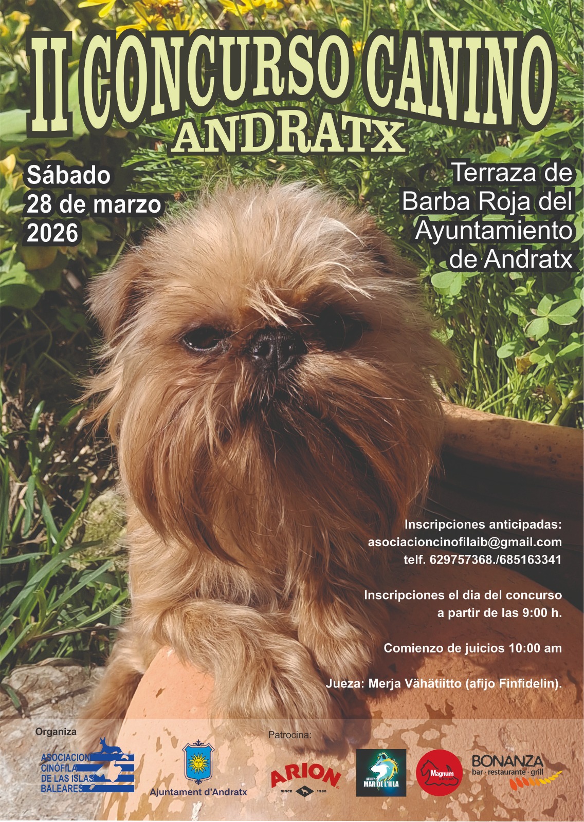 II. Hundewettbewerb - Visit Andratx