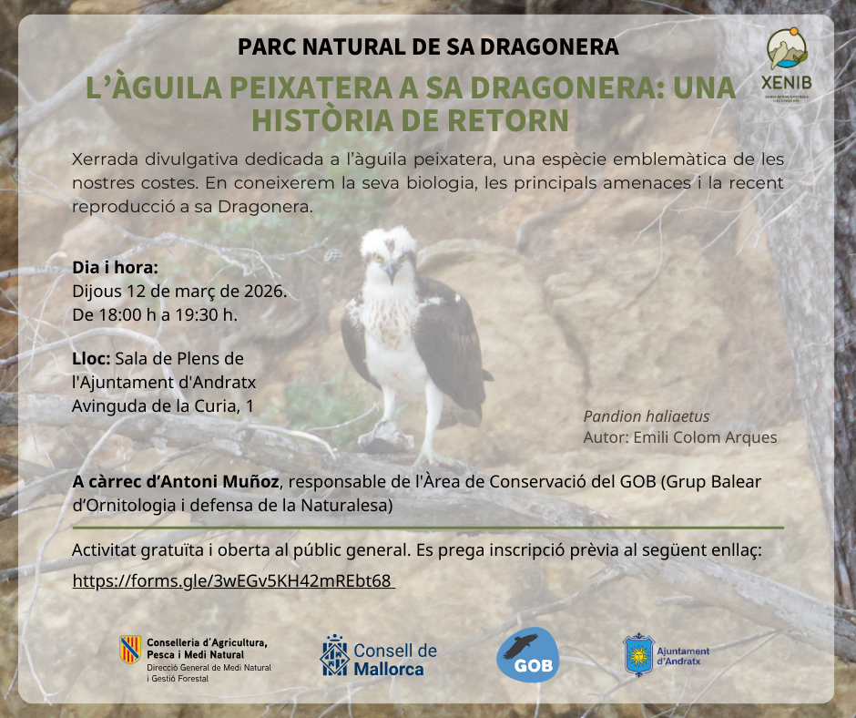 Charla: "El Águila Pescadora en la Dragonera: Una historia de retorno" - Visit Andratx