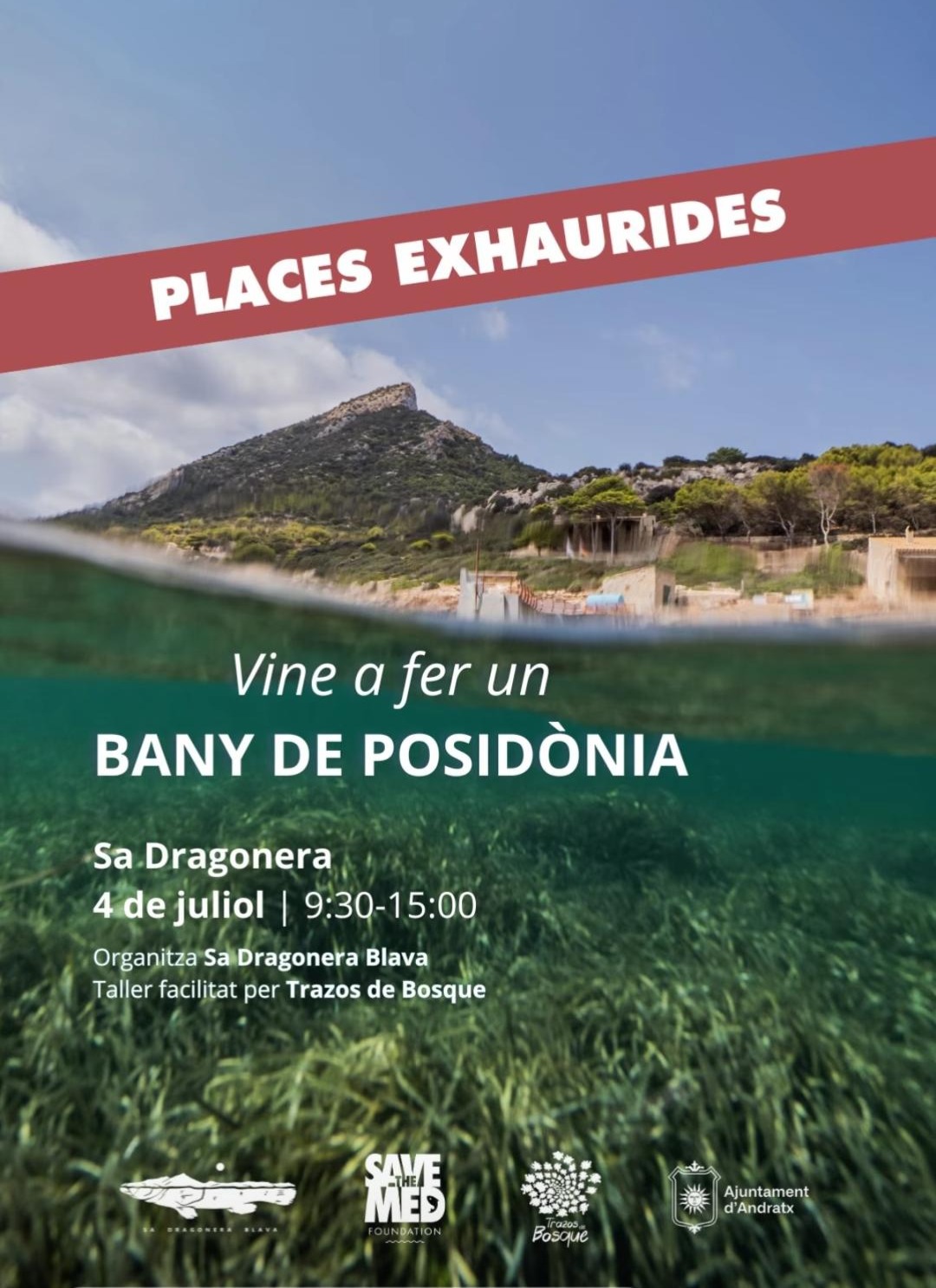 Workshop „Ein Bad in der Posidonia“ - Visit Andratx