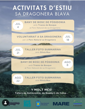 Voluntariado en Sa Dragonera - Visit Andratx
