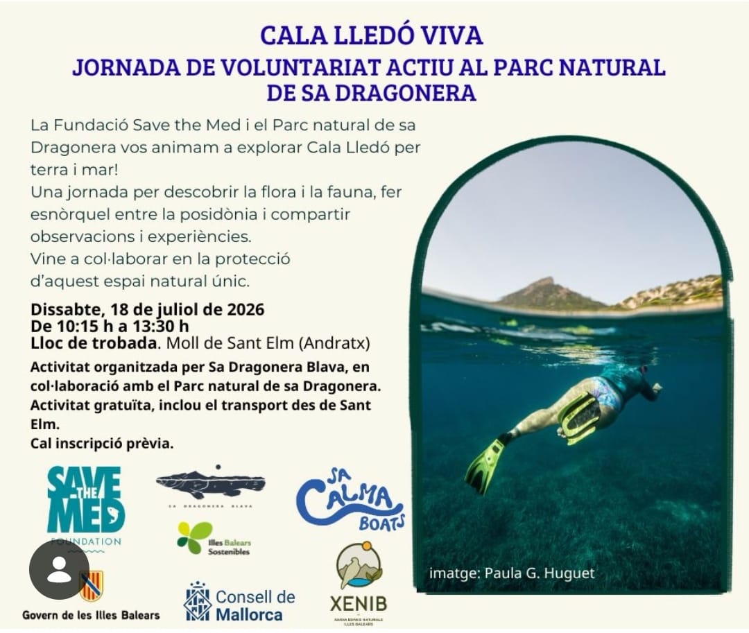 Voluntariat a Sa Dragonera - Visit Andratx